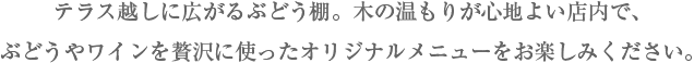 テラス越しに広がるぶどう棚。木の温もりが心地よい店内で、ぶどうやワインを贅沢に使ったオリジナルメニューをお楽しみください。