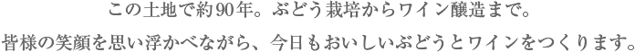 この土地で約90年。ぶどう栽培からワイン醸造まで。皆様の笑顔を思い浮かべながら、今日もおいしいぶどうとワインをつくります。