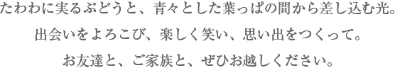たわわに実るぶどうと、青々とした葉っぱの間から差し込む光。出会いをよろこび、楽しく笑い、思い出をつくって。お友達と、ご家族と、ぜひお越しください。