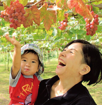 手軽に楽しめるぶどう狩りは小さなお子様に大人気!