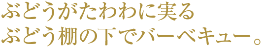 ぶどうがたわわに実るぶどう棚の下でバーベキュー。