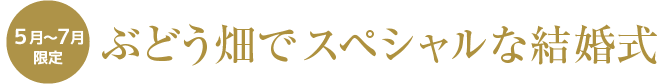 ぶどう畑で一生に一度のスペシャルな結婚式。