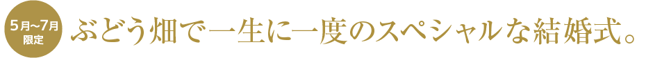ぶどう畑で一生に一度のスペシャルな結婚式。