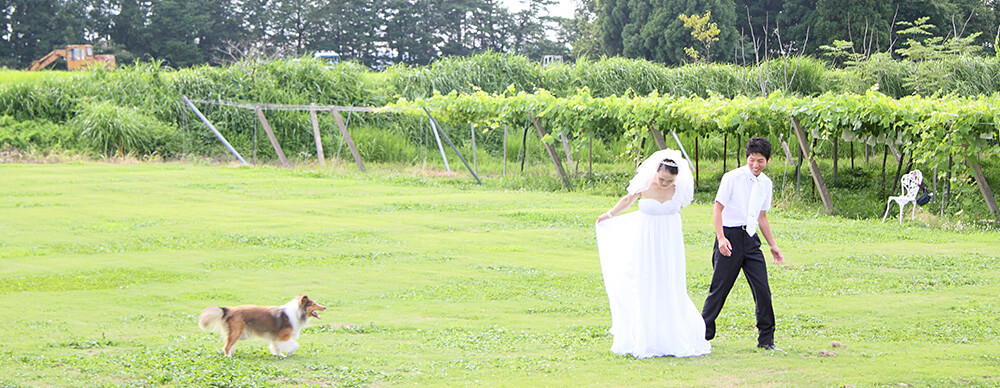 ぶどう畑での思い出に残る結婚式!