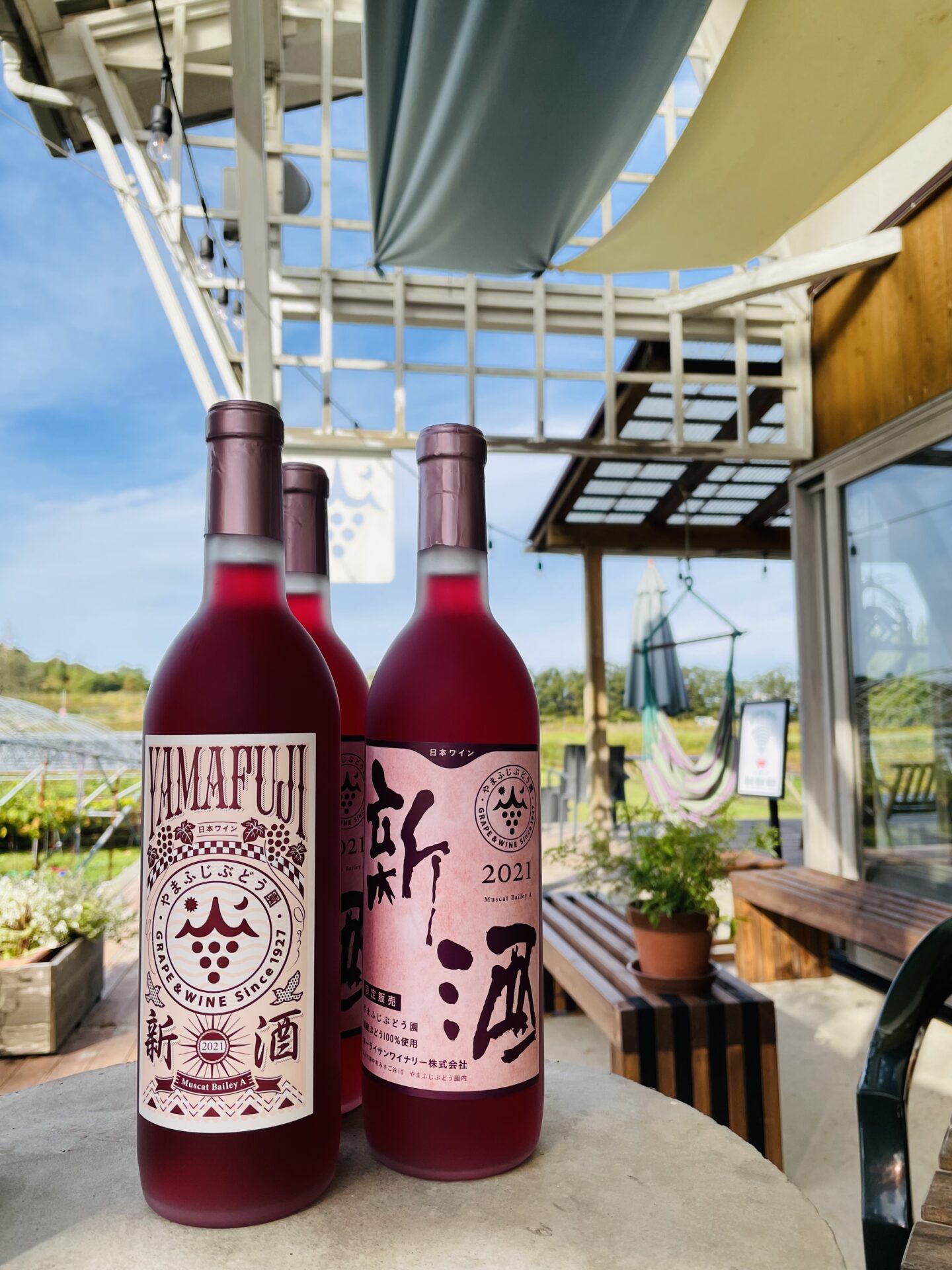 新酒2021 11月1日から販売開始！ | やまふじぶどう園 | 富山市婦中町