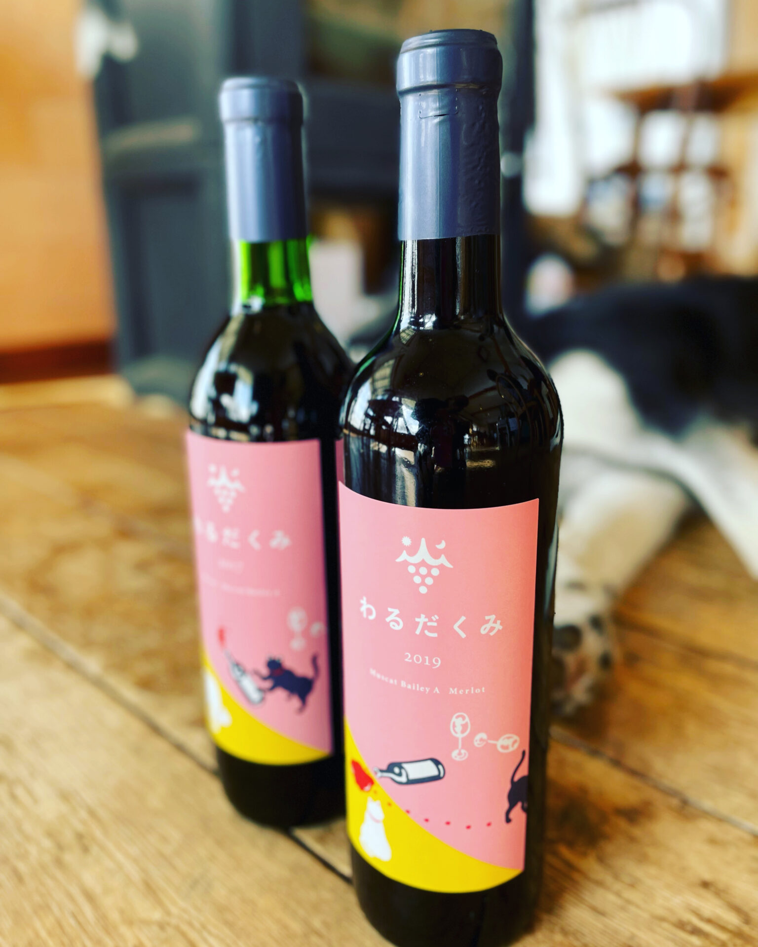 37630F0B-8F8C-4BD9-B6B9-