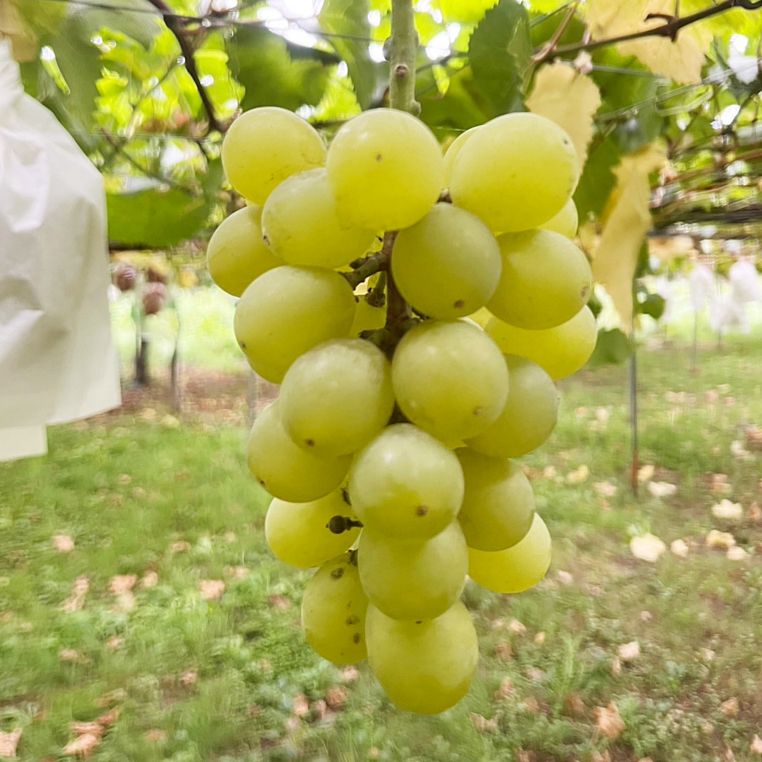 dea4f9f9c94527fb314a566bbb9fa6