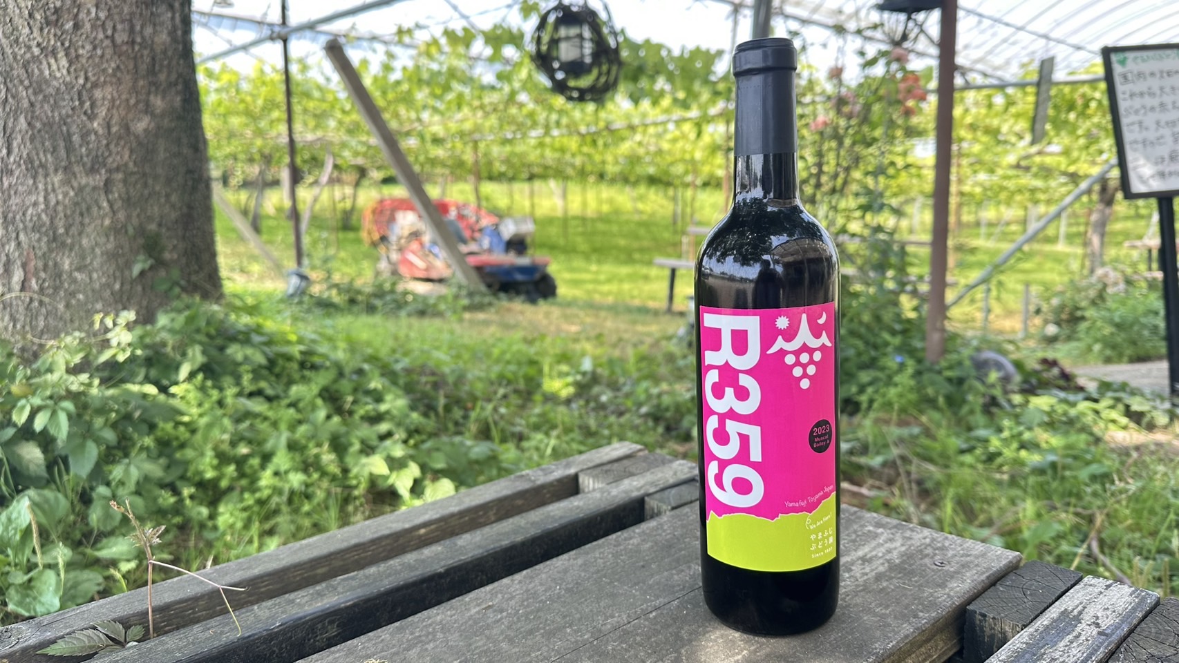 ワインニューリリースのお知らせ！ 「R359（サンゴク） 2023」 | やま
