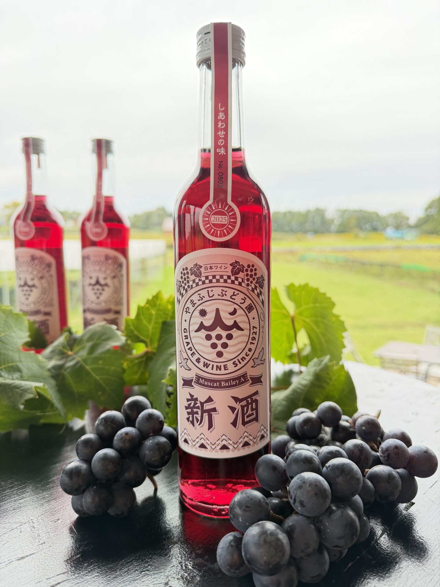 2025年新酒できました⭐︎11月1日より本数限定販売！ | やまふじぶどう