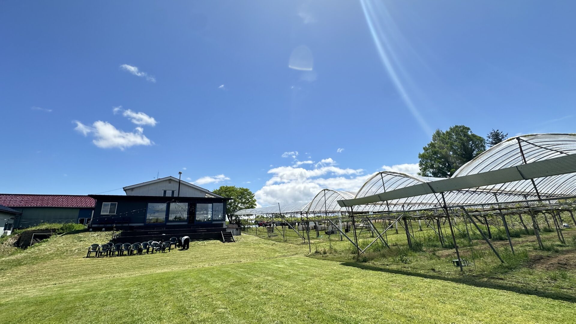 2025年ぶどう完売いたしました⭐︎ | やまふじぶどう園 | 富山市婦中町