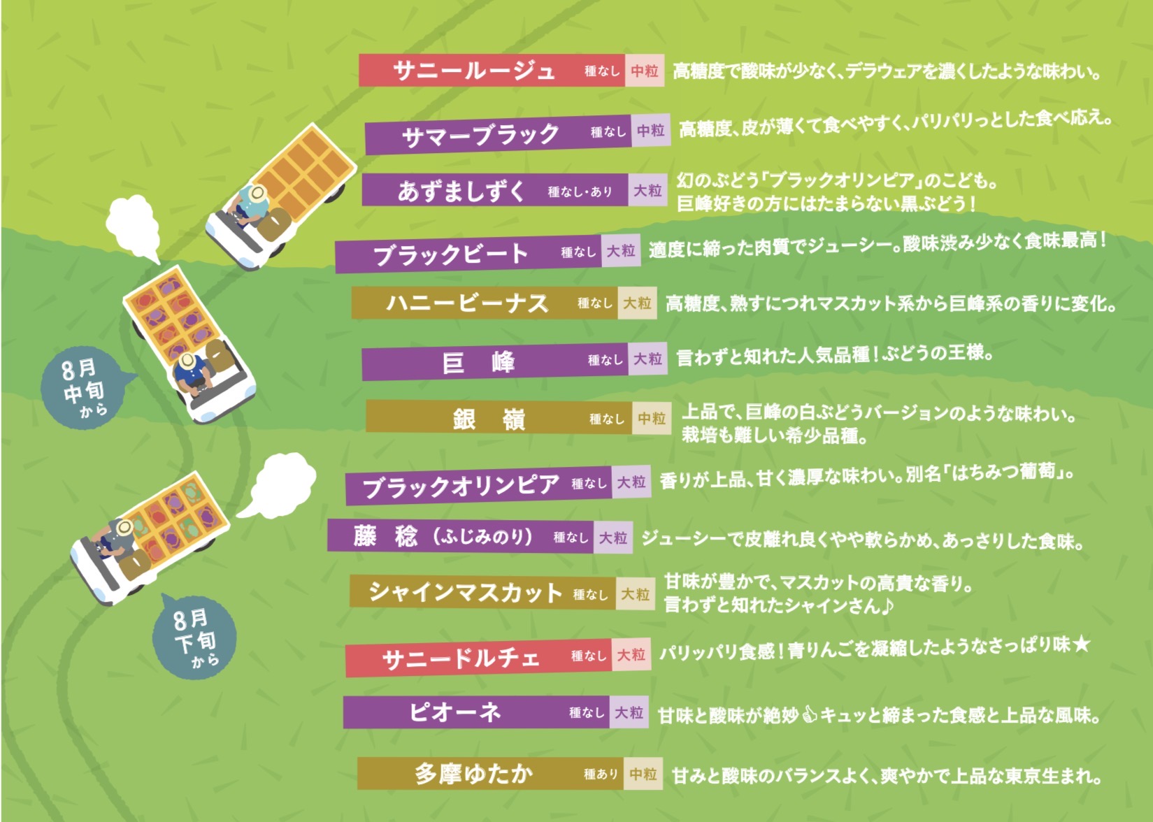 2026年ぶどうリスト解禁！！ | やまふじぶどう園 | 富山市 ぶどう狩り
